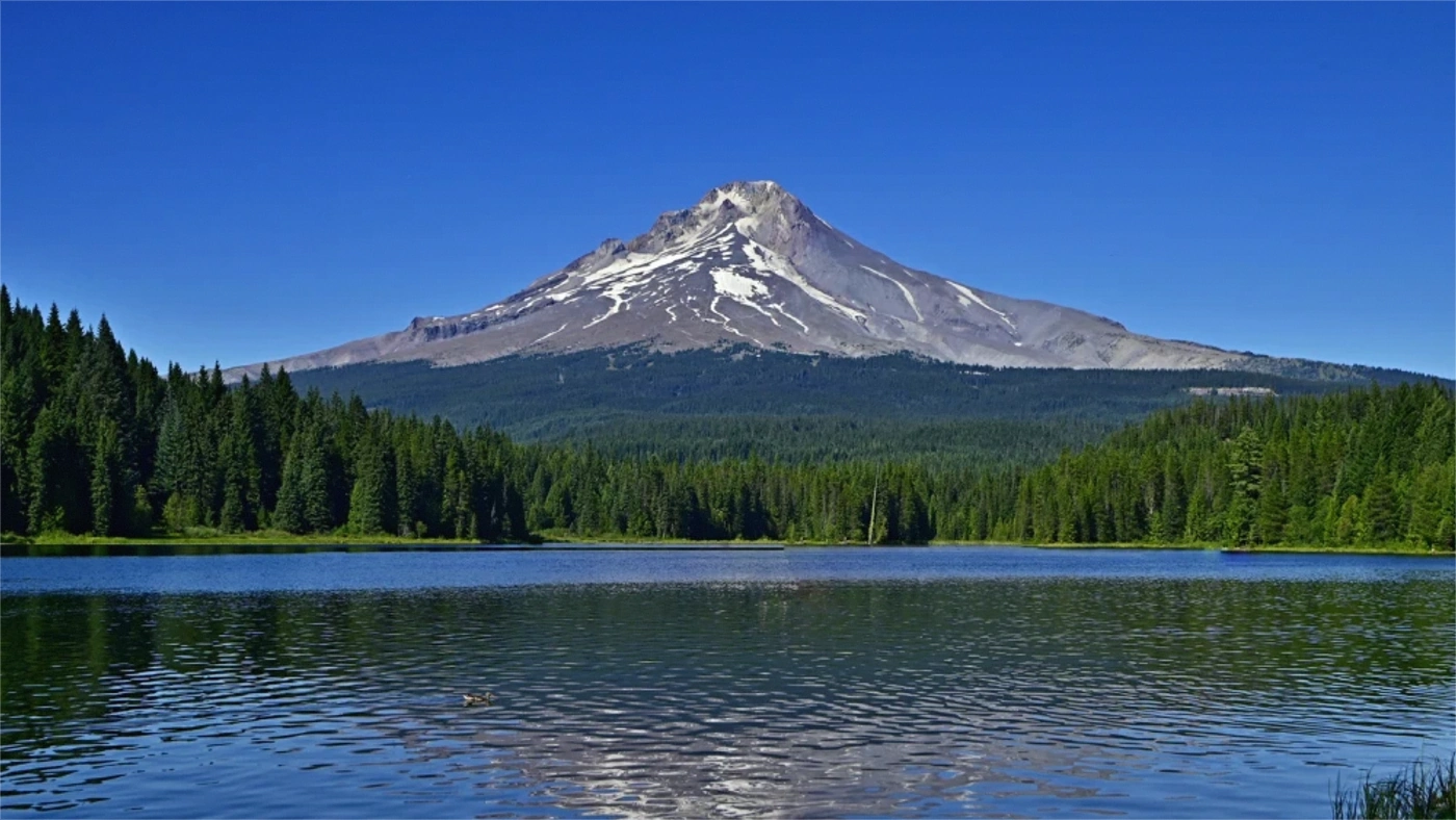 Legal Documents for Selling Land in Oregon Oregon land guide