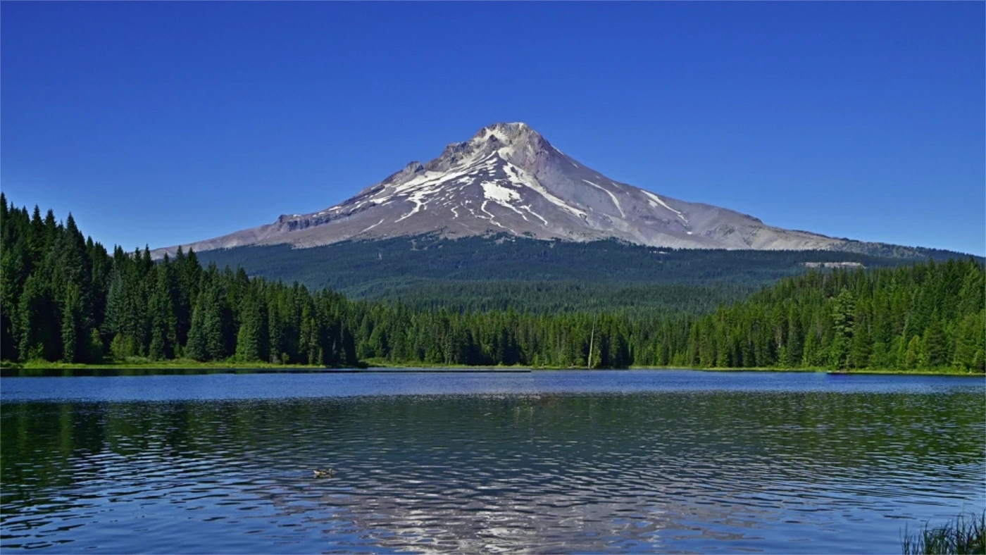 Tax on Selling Land in Oregon Oregon land guide