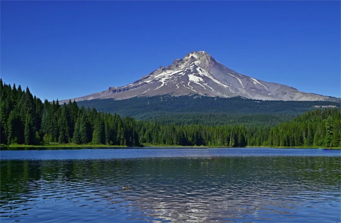 Oregon land parcel records for How to Sell Inherited Land in Oregon