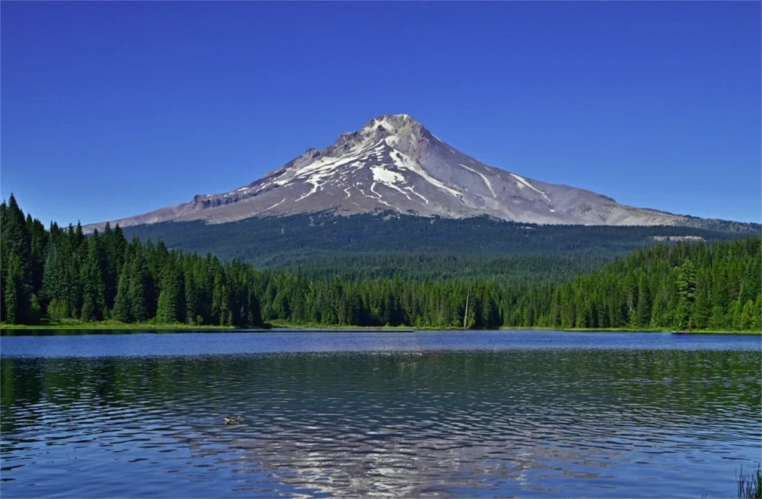 Oregon land offer review for How to Sell Inherited Land in Oregon