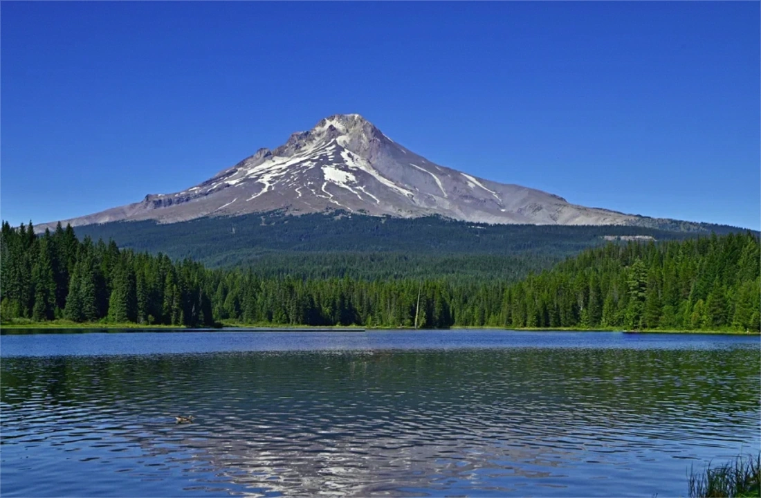 Oregon land closing documents for How to Sell Land Fast in Oregon