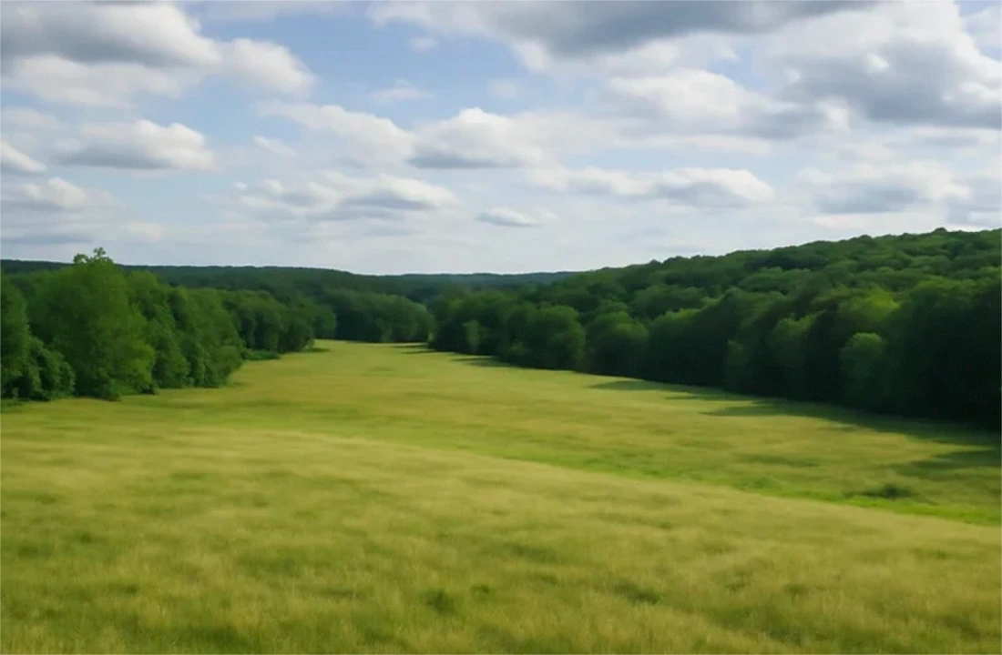 Oregon land offer review for How to Sell Land Online in Oregon