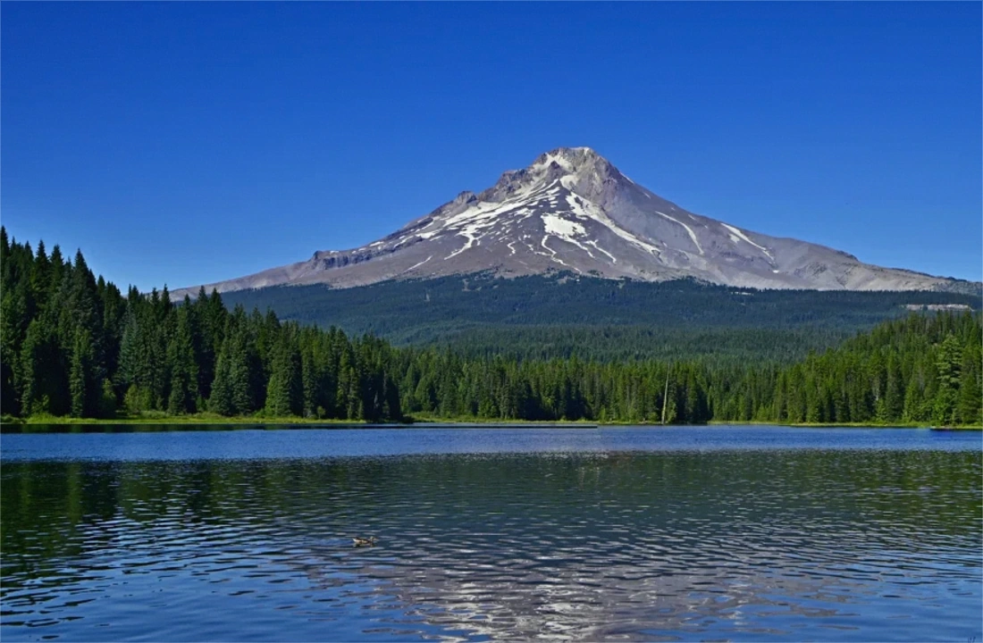 Oregon land parcel records for Legal Documents for Selling Land in Oregon