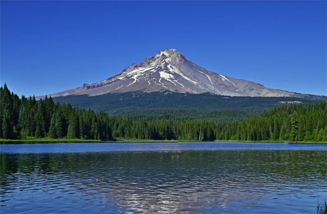 Oregon land offer review for Legal Documents for Selling Land in Oregon
