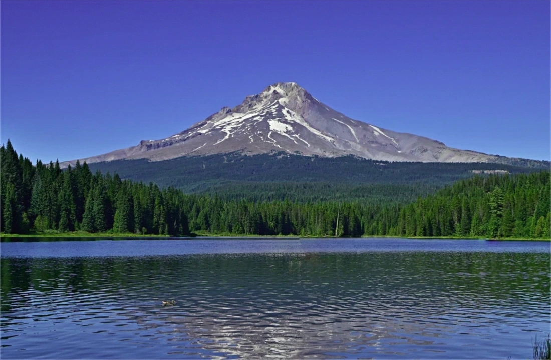Oregon land offer review for Oregon Land Buyers: What Sellers Should Know