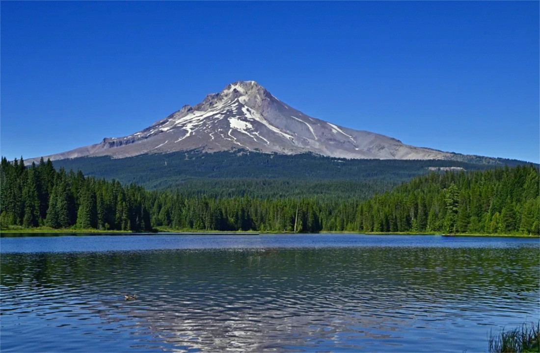 Oregon land closing documents for Oregon Land Buyers: What Sellers Should Know