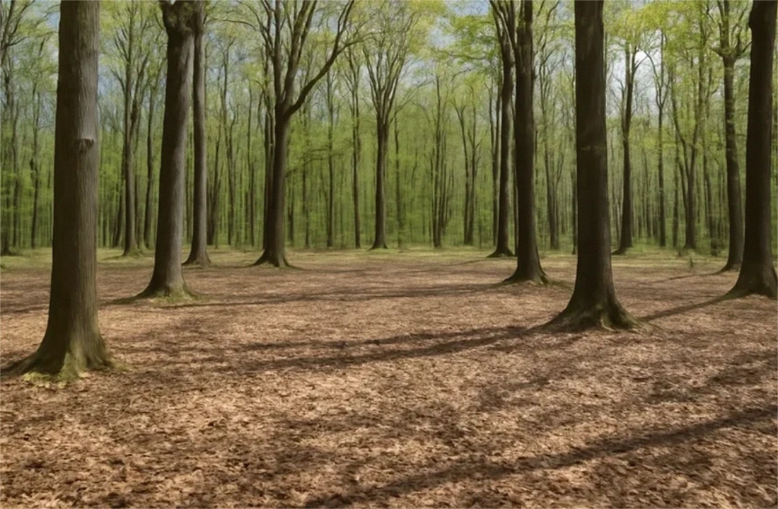Oregon land offer review for Selling Land to a Developer in Oregon