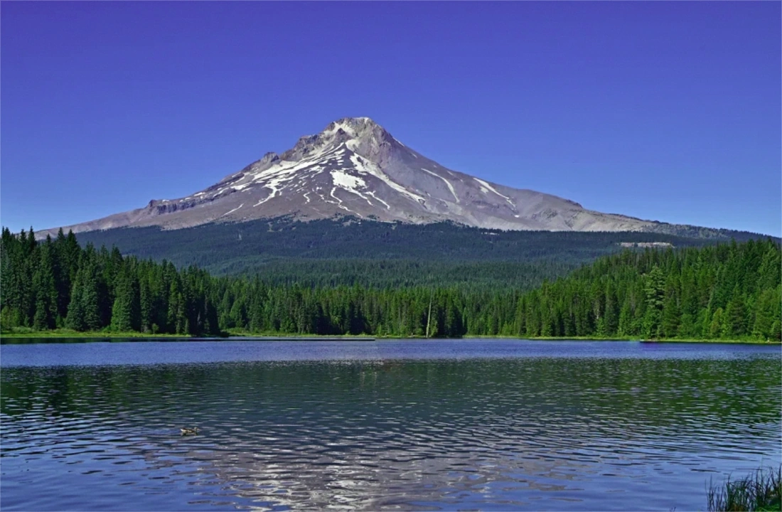 Oregon land closing documents for Tax on Selling Land in Oregon